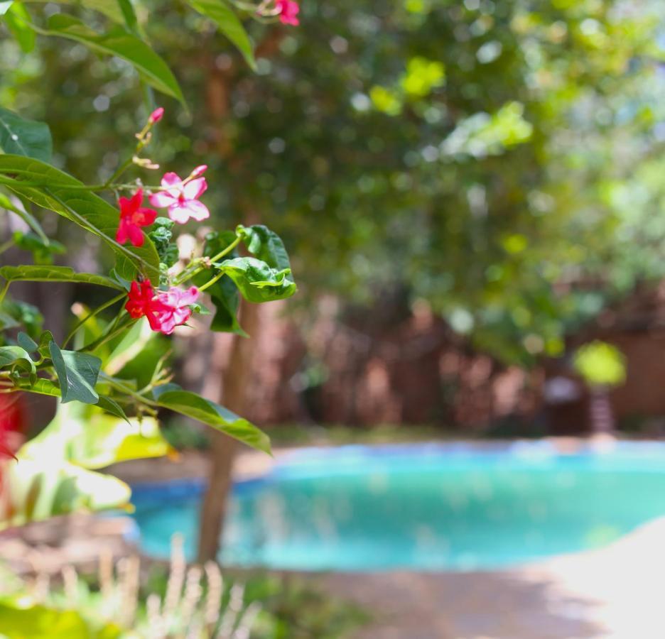 Mawuya Lodge Victoria Falls Eksteriør bilde